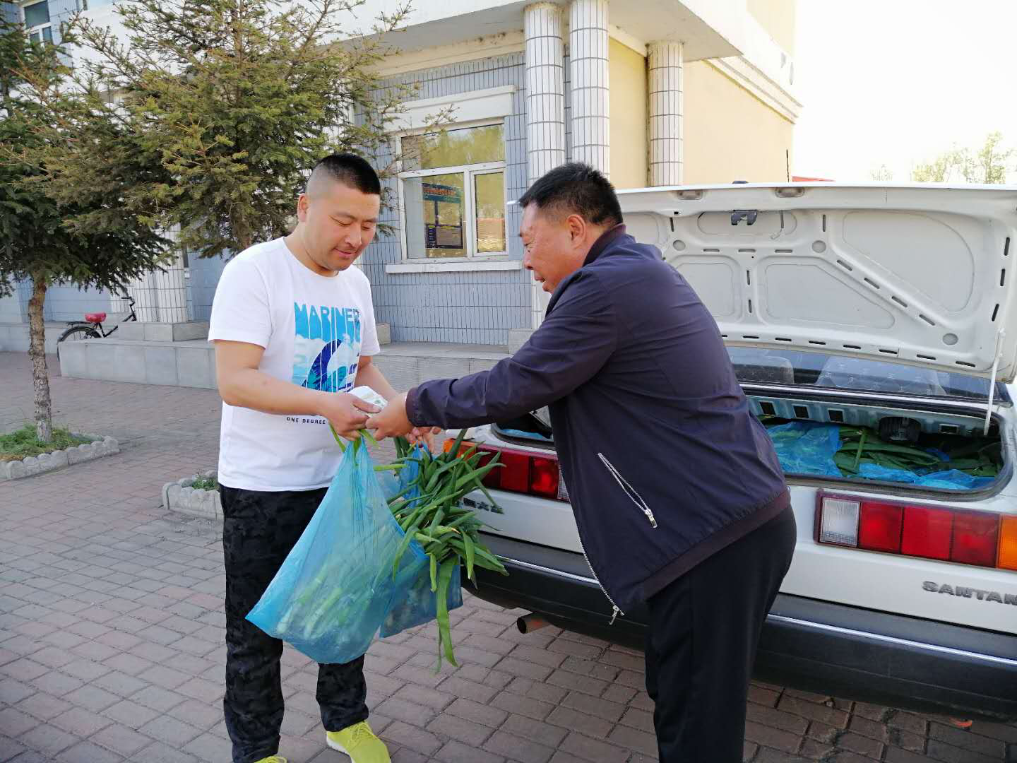 1558145221203015445.png 1558145221203015445.png